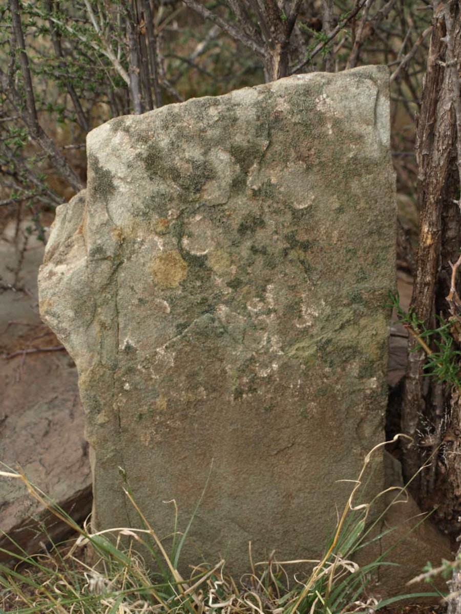 MALAN Daniel Jacobus