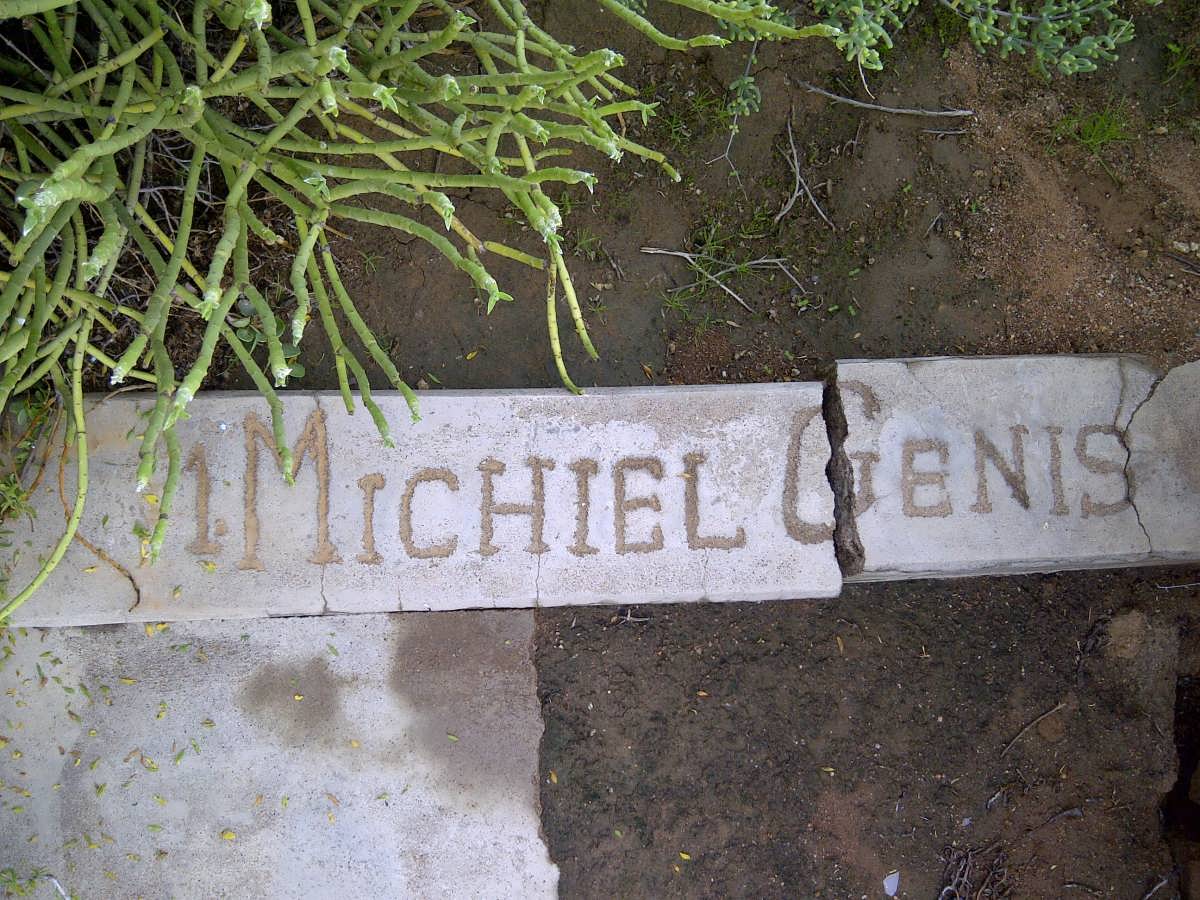 GENIS Michiel 