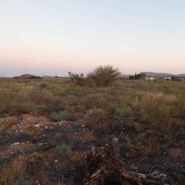 1. Oorsig / Overview