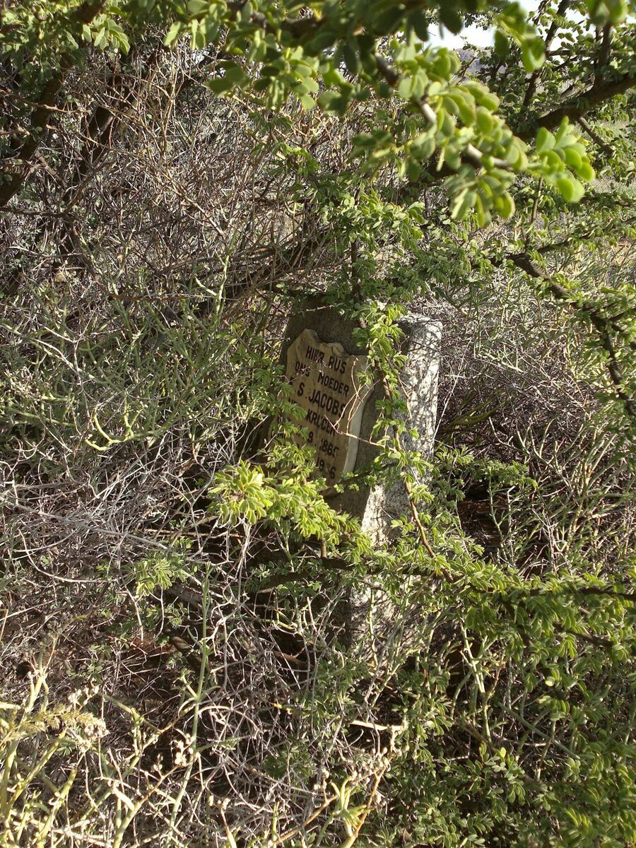 JACOBS ? S. nee KRUGER 1865-1936