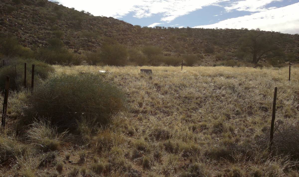 2. Overview / Oorsig