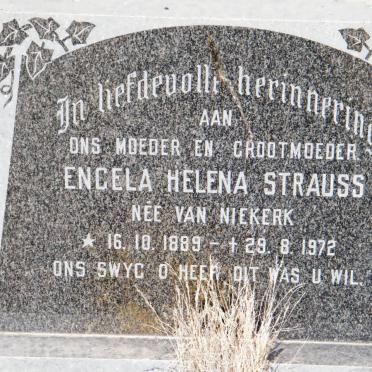 STRAUSS Engela Helena nee VAN NIEKERK 1889-1972
