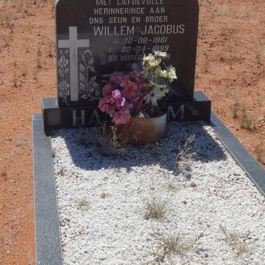 HANEKOM Willem Jacobus 1961-1999