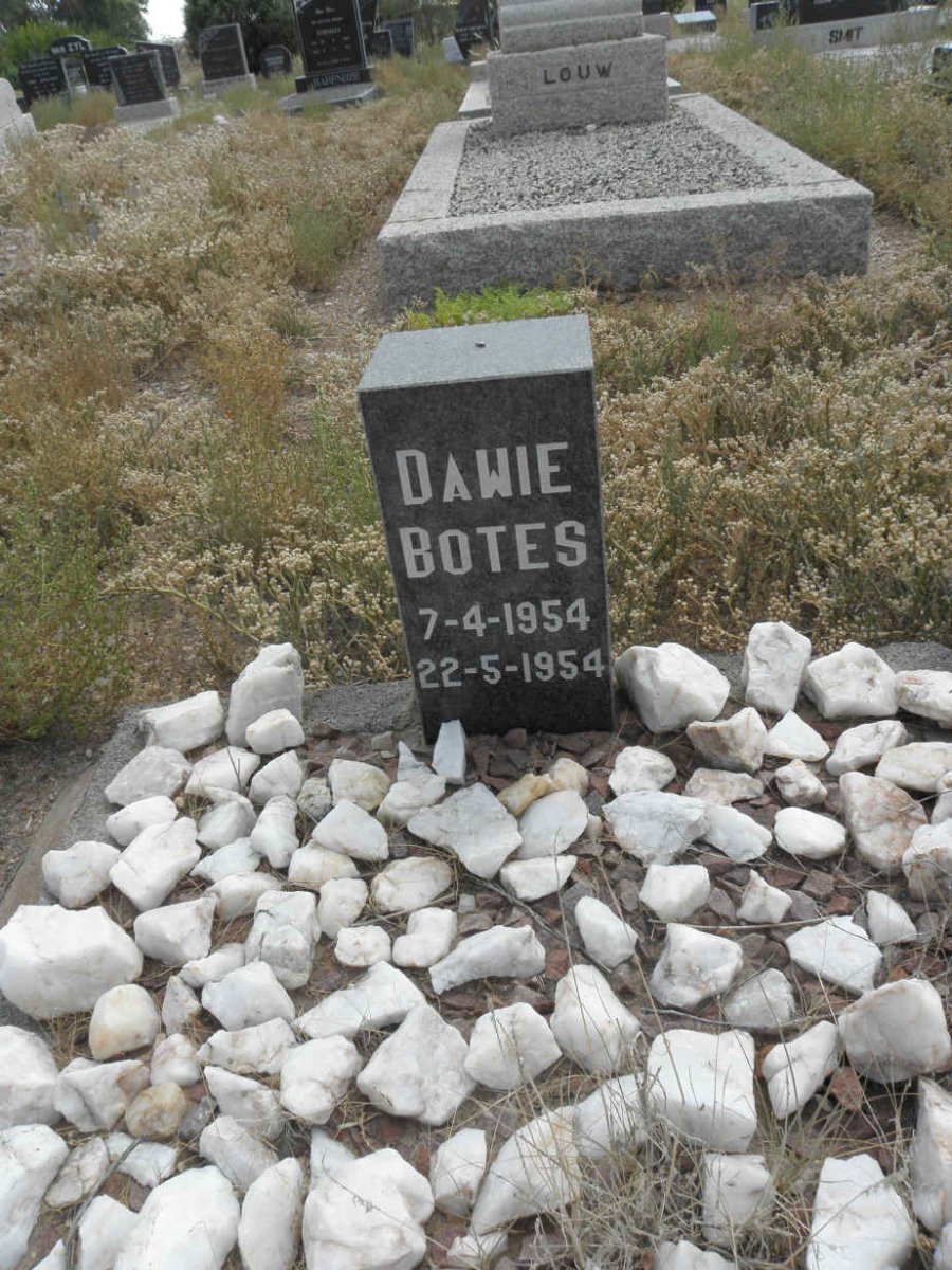 BOTES Dawie 1954-1954