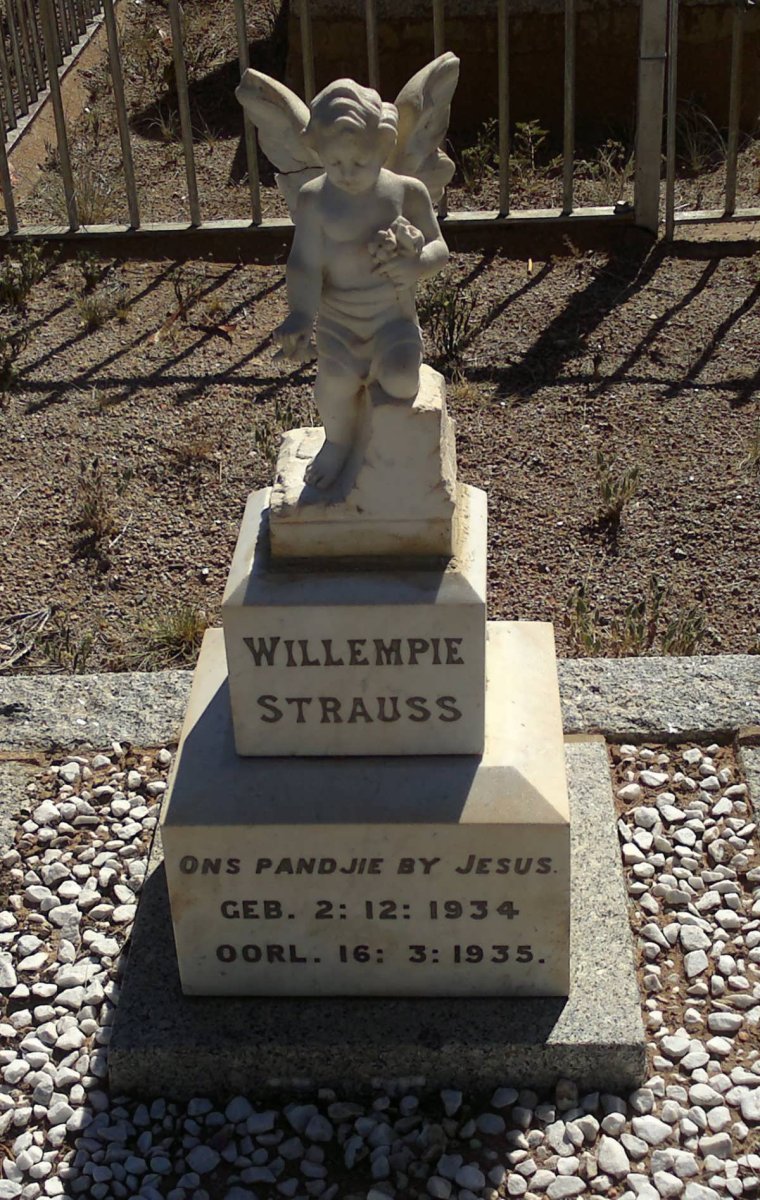 STRAUSS Willempie 1934-1935