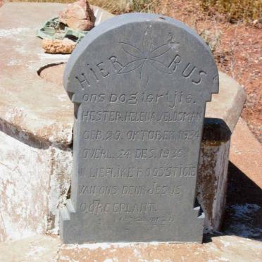 VELDSMAN Hester Helena 1934-1935