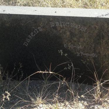 BANCROFT Drycna ??34-??95