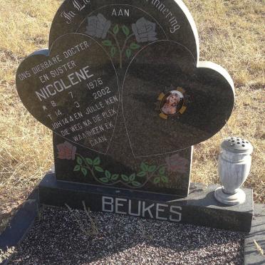 BEUKES Nicolene 1976-2002