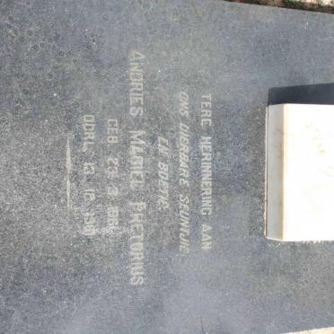 PRETORIUS Andries Magiel 1961-1961