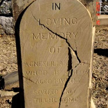 WICHT Agnes Lilias 1885-1886