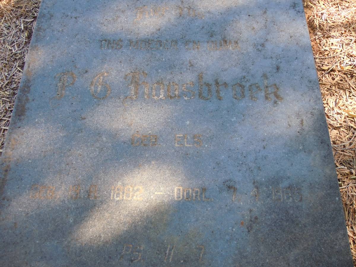 HAASBROEK P.G. nee ELS 1882-1965