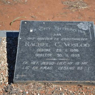 VOSLOO Rachel C. 1886-1958