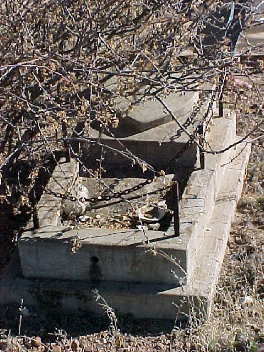 COMPAAN Jacobus Fredrik 1931-1931