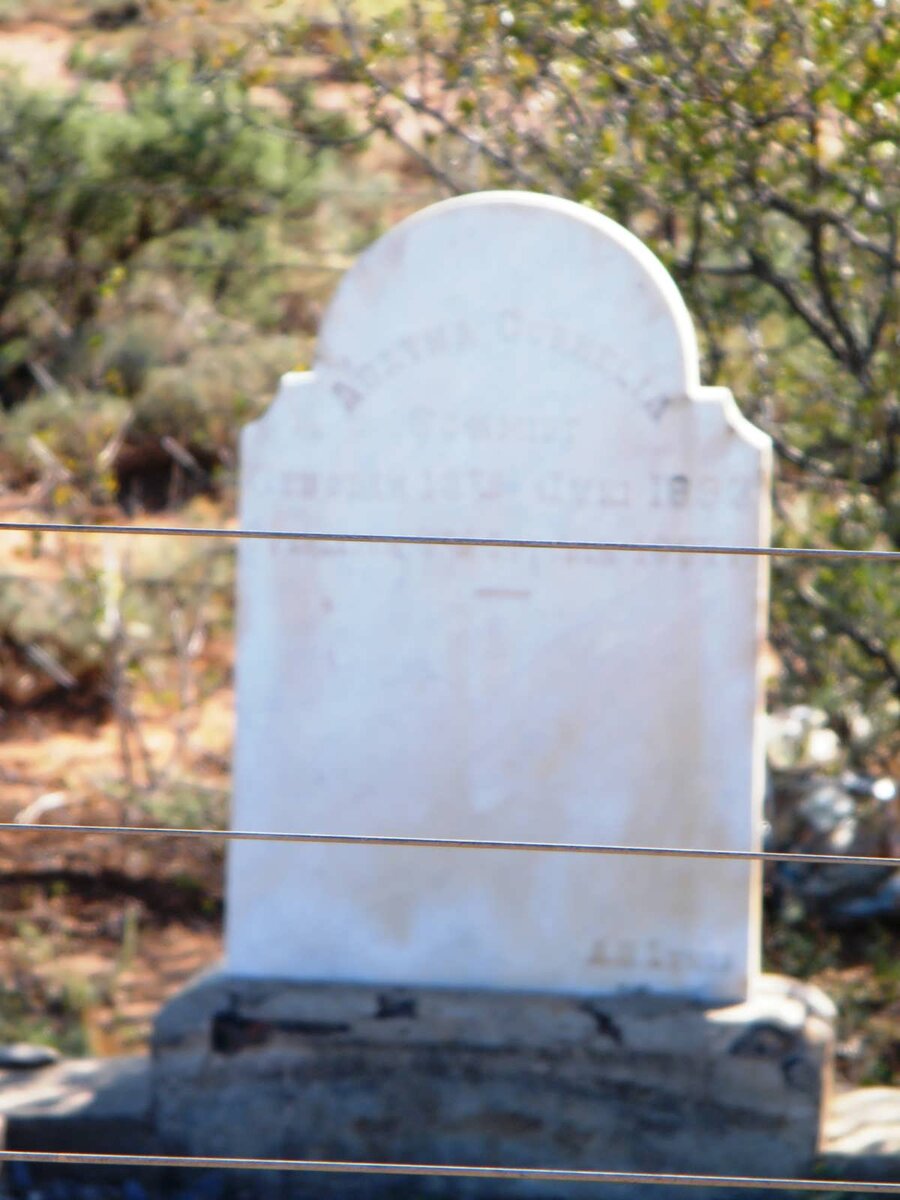 SCHMIDT ? Cornelia 189?-