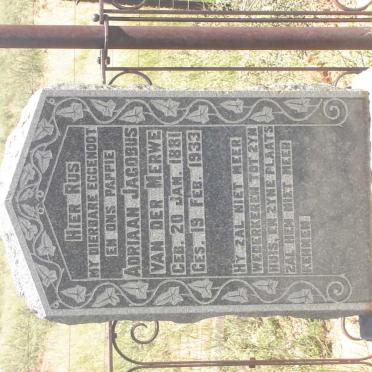 MERWE Adriaan Jacobus, van der 1881-1933