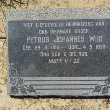 WIID Petrus Johannes 1916-1933