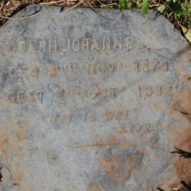 ? Dolph Johannes 1879-1882