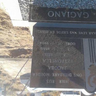 GAGIANO Jacoba Petronella nee COETZEE 1888-1984