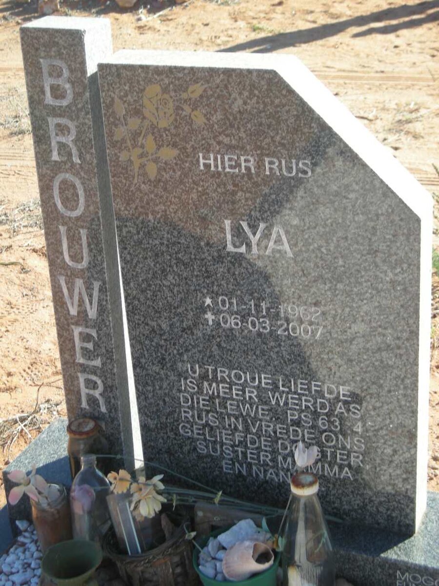BROUWER Lya 1962-2007