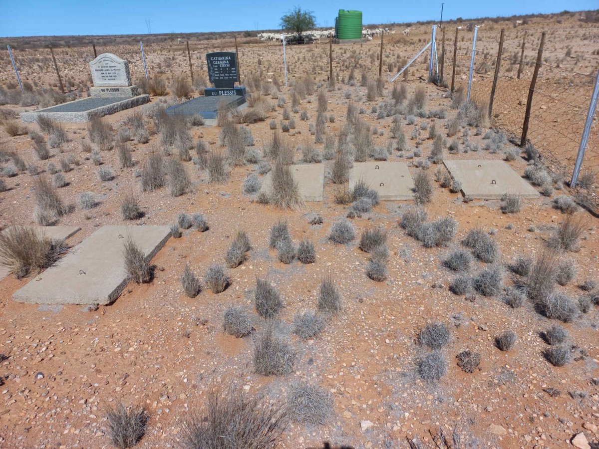 2. Overview / Oorsig