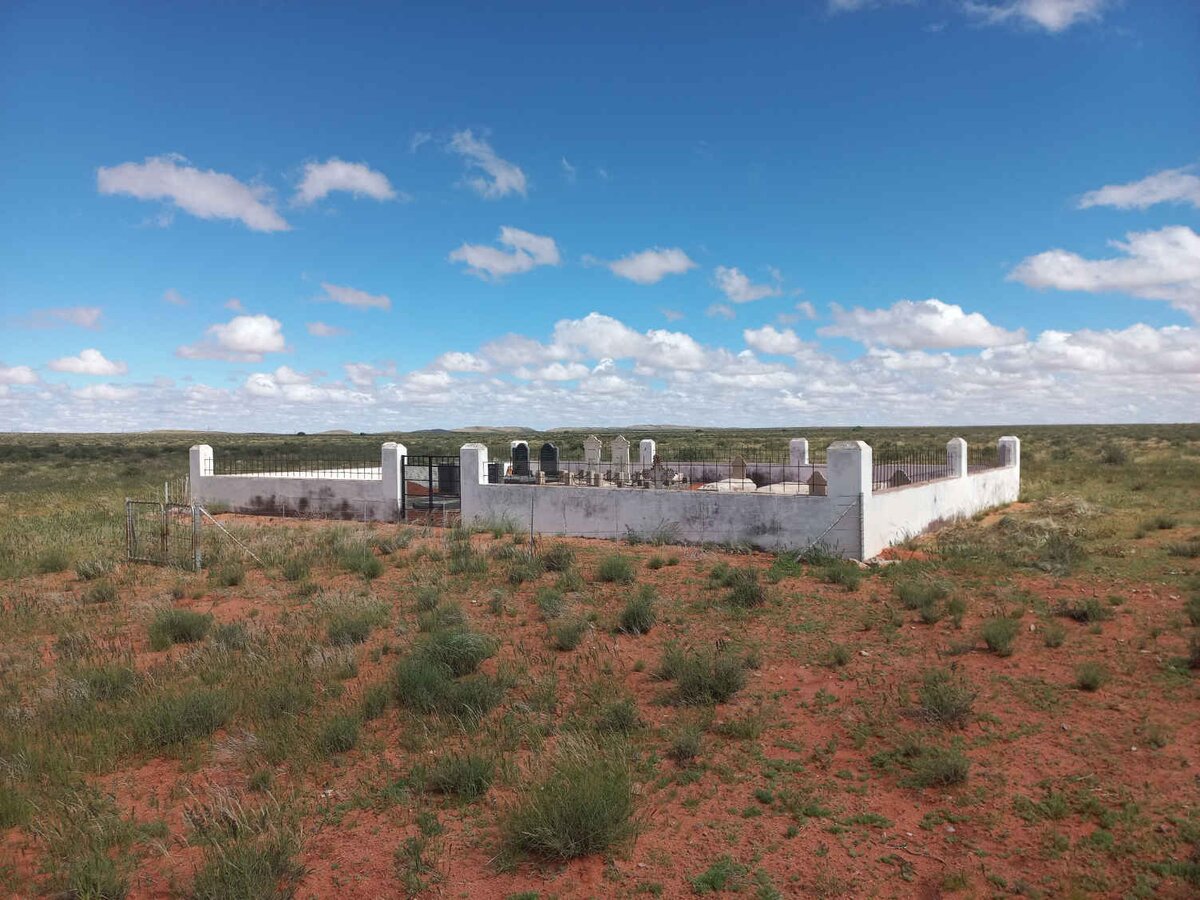 1. Oorsig / Overview