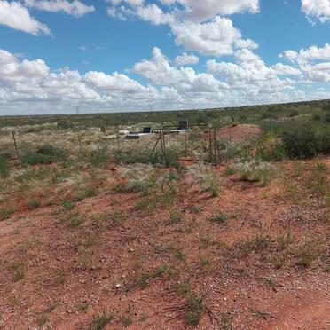 1. Oorsig / Overview