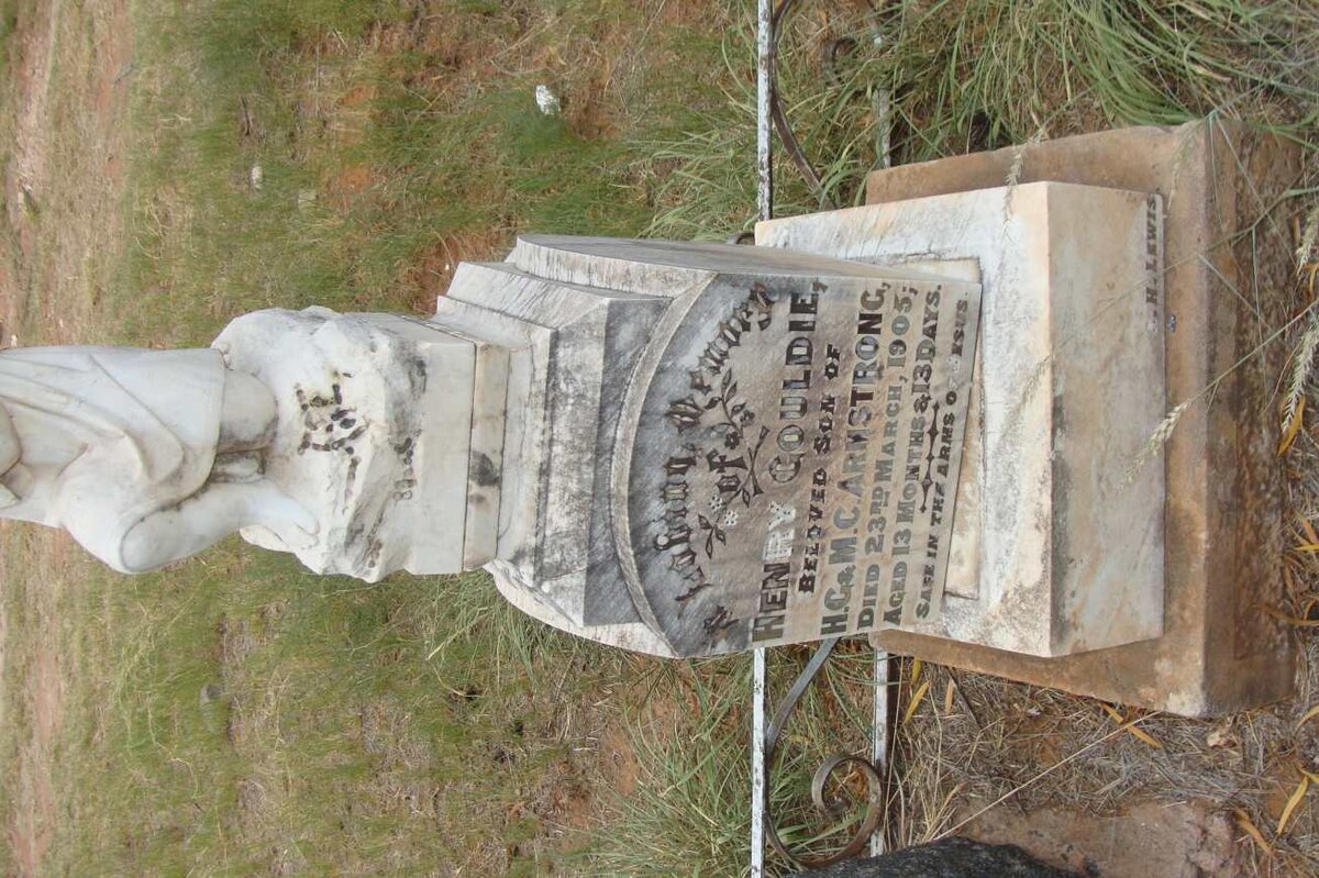 ARMSTRONG Henry -1905