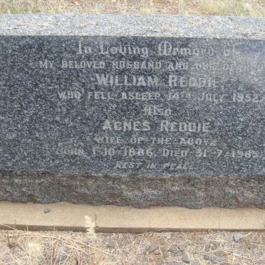 REDDIE William -1952 &amp; Agnes 1886-1965