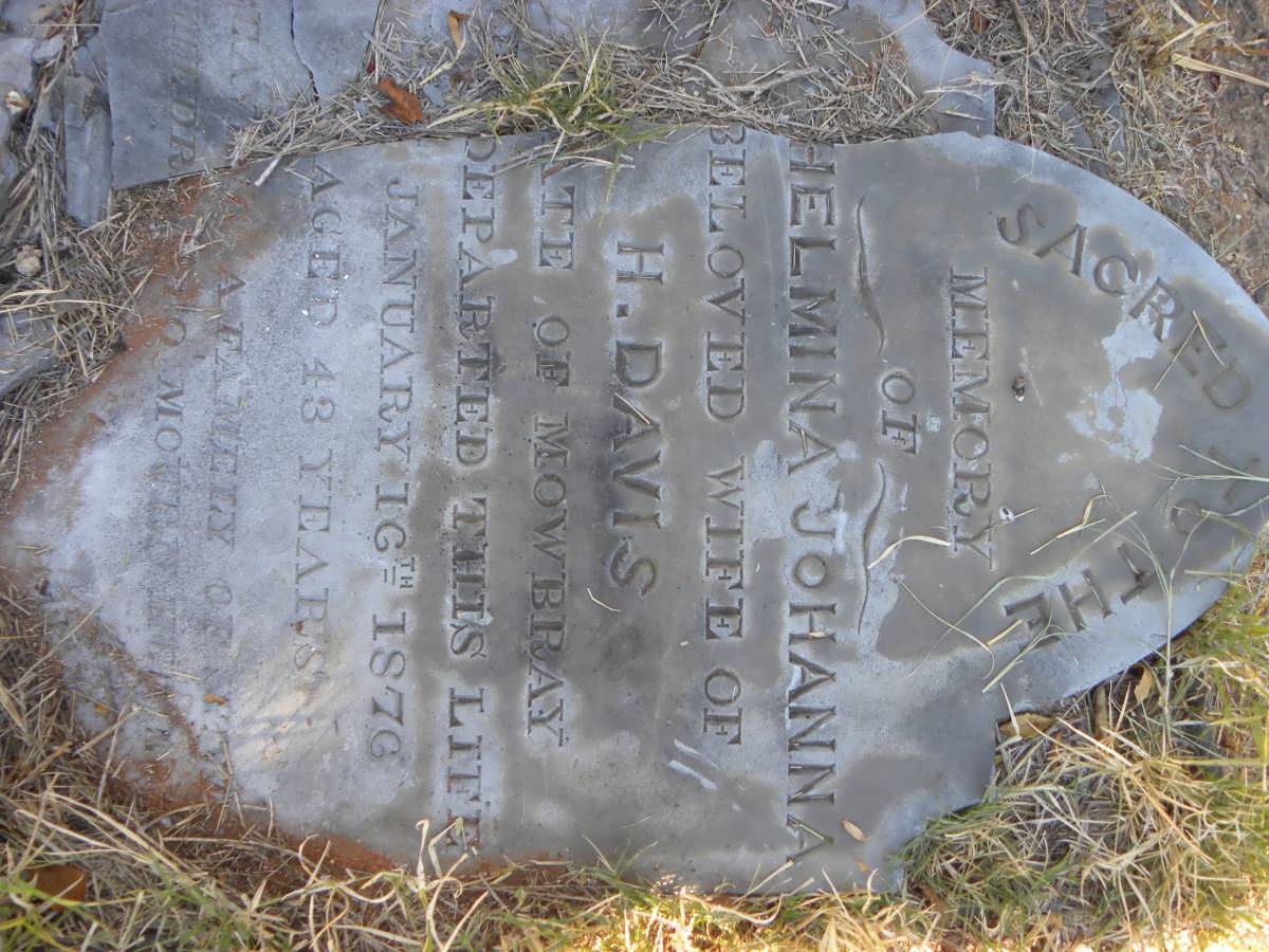 DAVIS Wilhelmina Johanna -1876