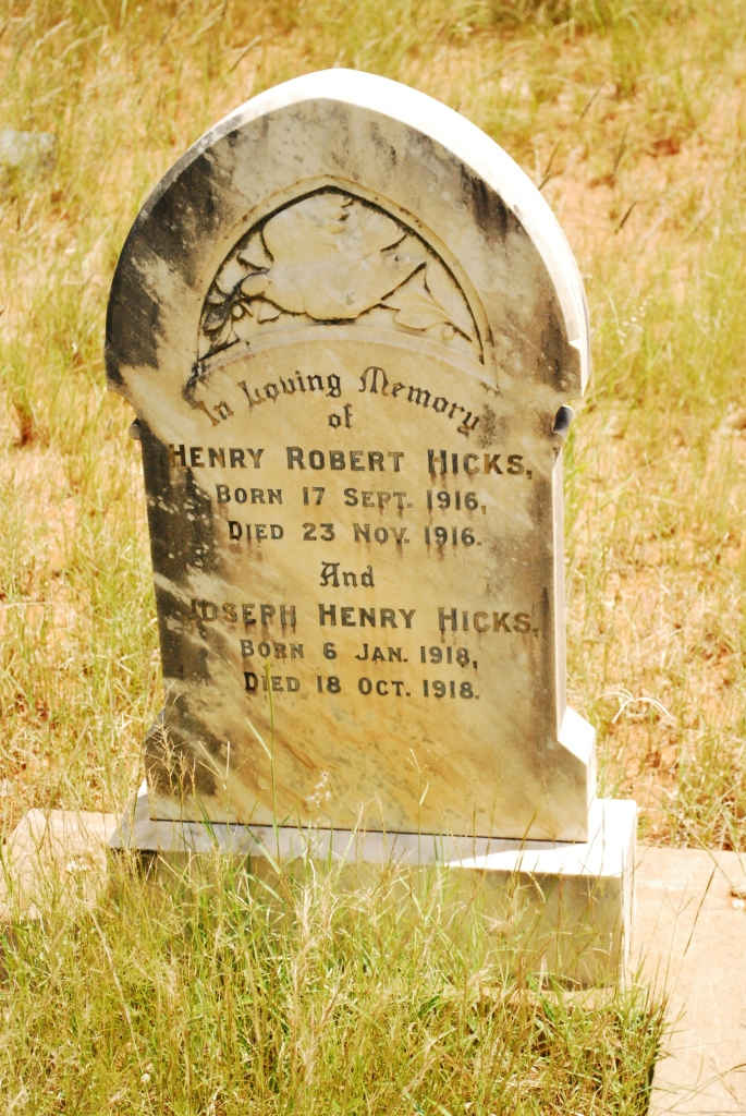 HICKS Henry Robert 1916-1916 :: HICKS Joseph Henry 1918-1918