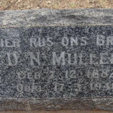MULLER D.N. 1882-1946