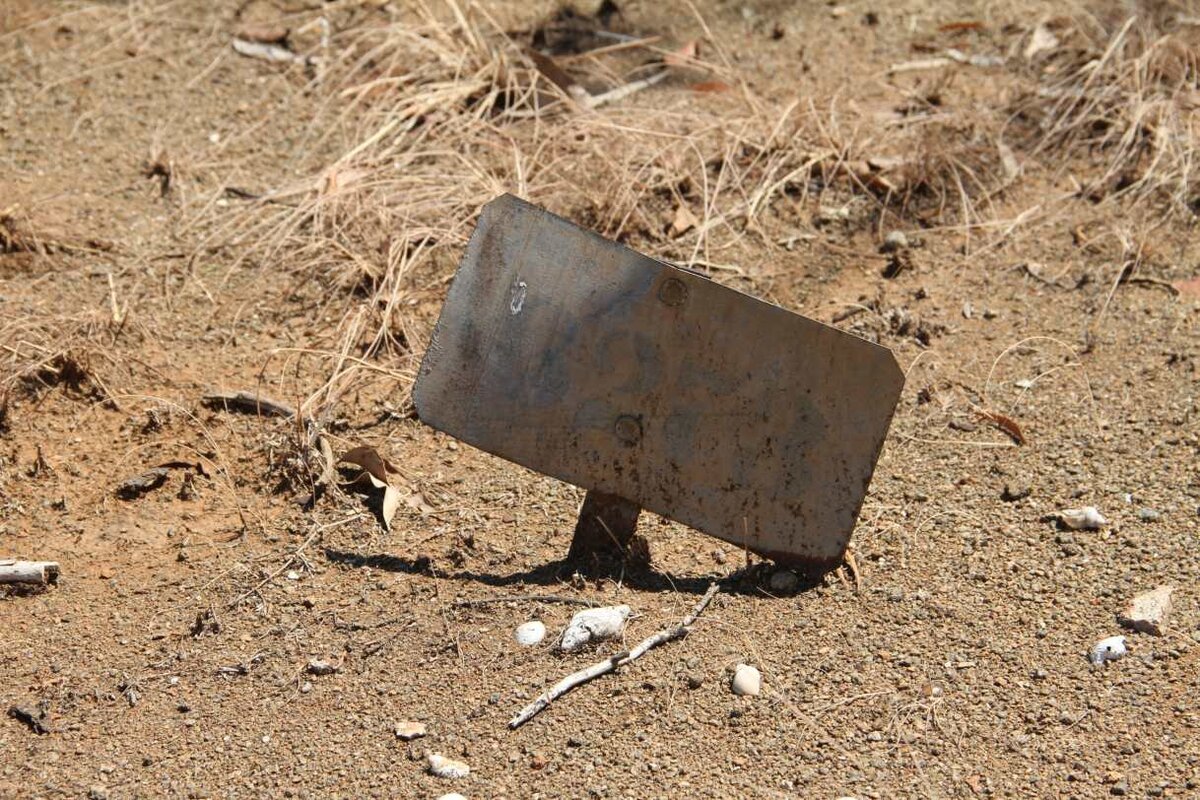 BOLLEURS Anna Margaret  -1919