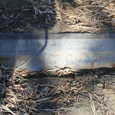 COLE William Thorne  -1938