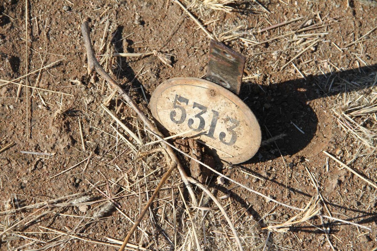 CHUDLEIGH Frank Hodge 1875-1907