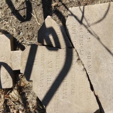 DEVITT Kathleen Bridget -1883