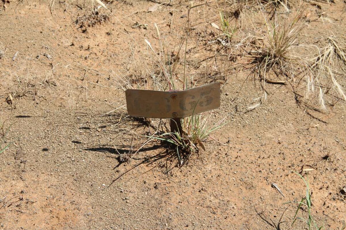 FELANDER Christine Frances -1925 :: FELANDER Joseph -1925