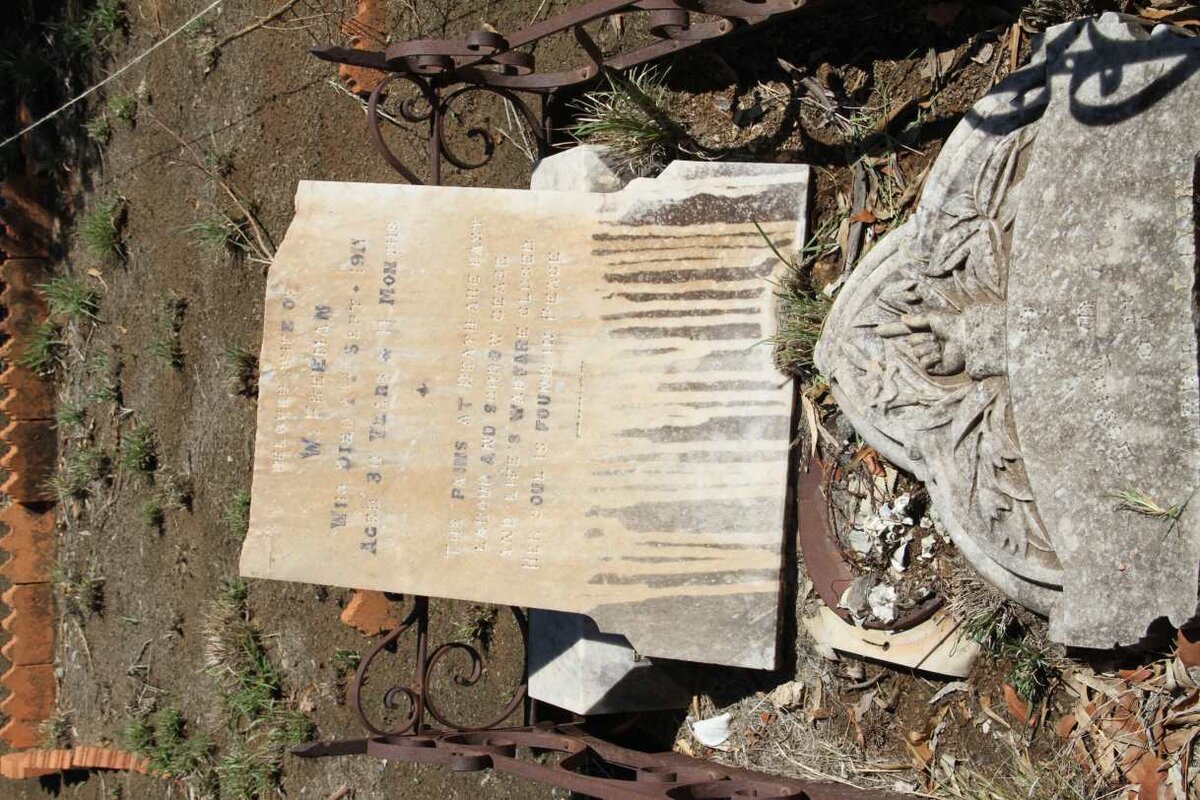 FREEMAN Harriet Ellen -1911