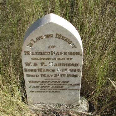 HARRISON Mildred 1884-1890