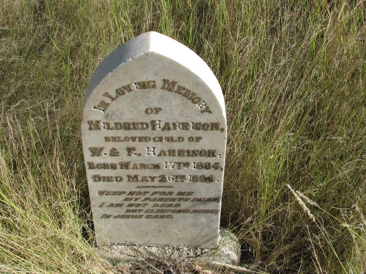 HARRISON Mildred 1884-1890