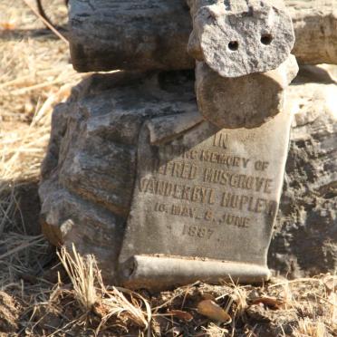 HOPLEY Wilfred Musgrove Vanderbyl 1887-1887