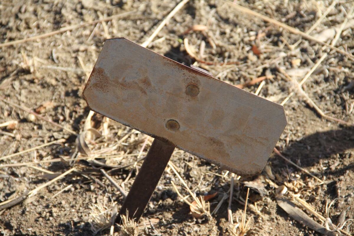 HARDACRE Susan  -1920