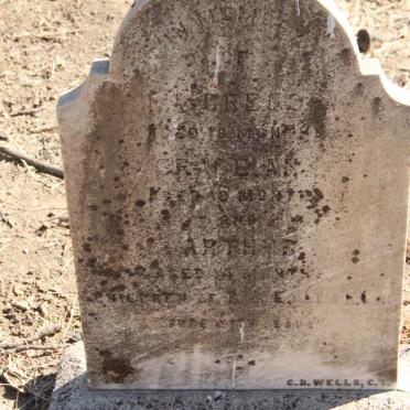 JOSHUA McGregor -1882 :: JOSHUA Grace Ann -1885 :: JOSHUA Arthur -1889