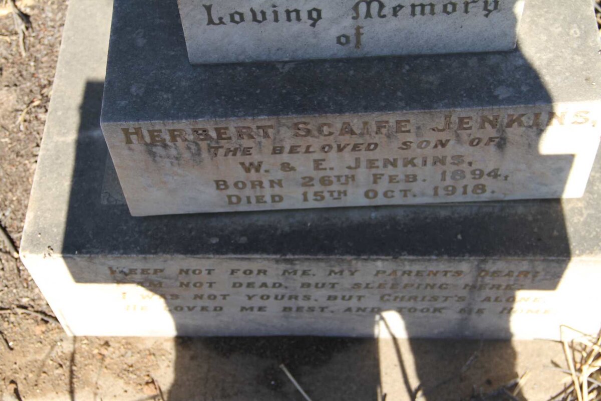 JENKINS Herbert Scaife 1894-1918