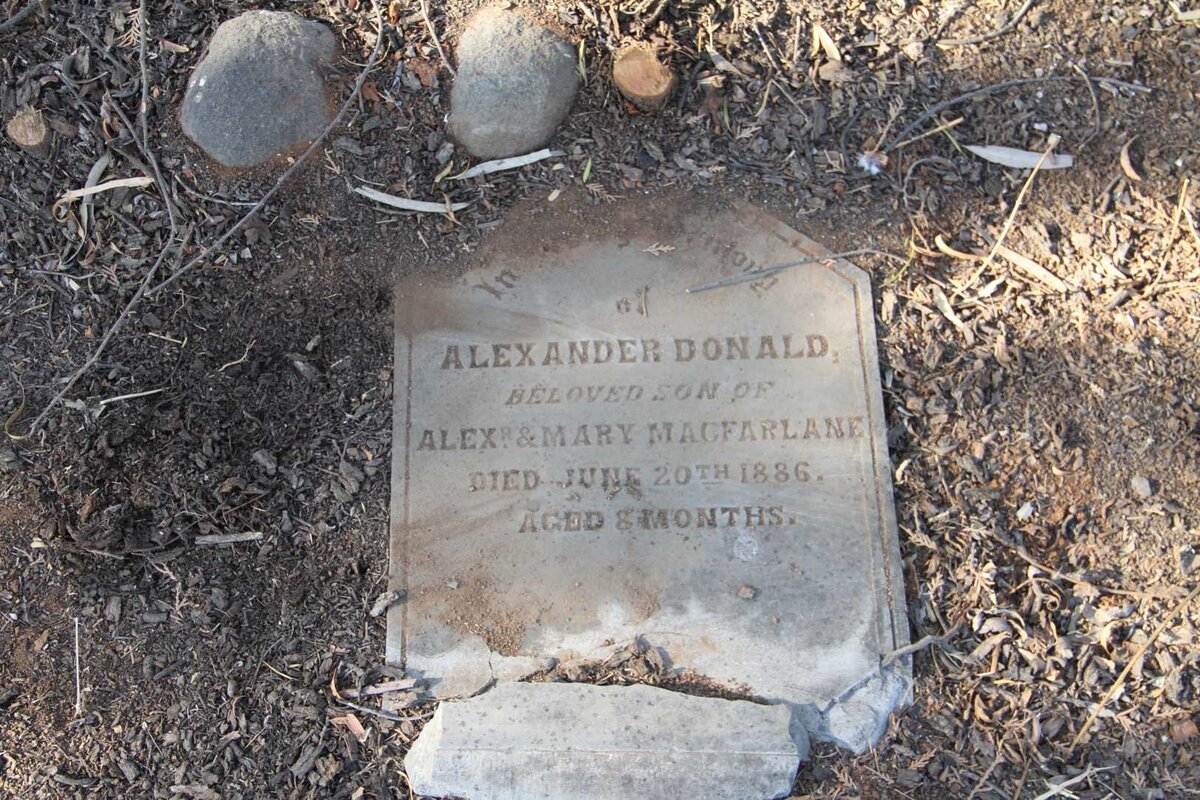 MACFARLANE Alexander Donald -1886