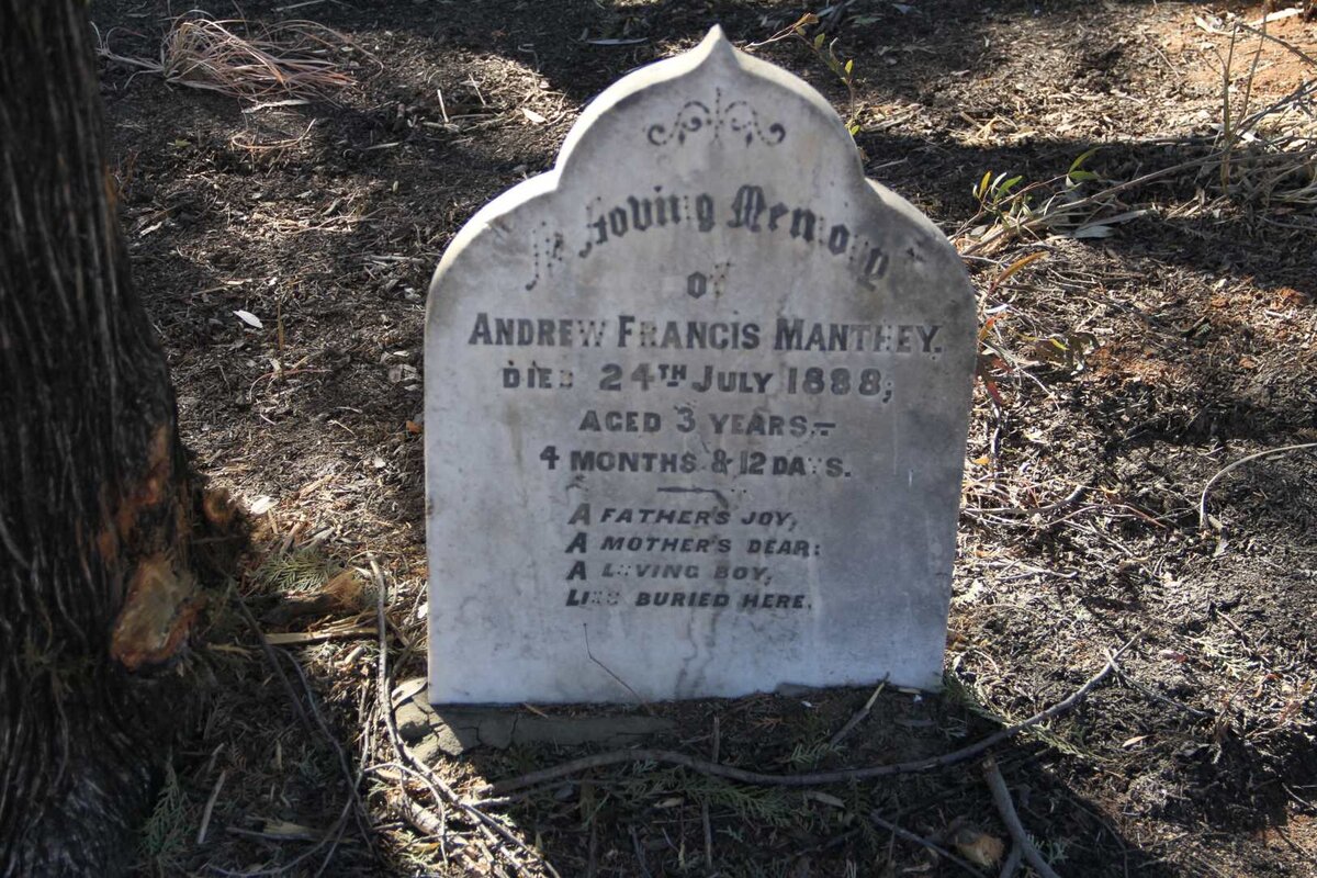MANTHEY Andrew Francis  -1888