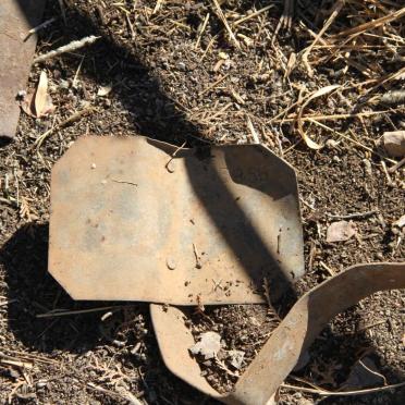 PETERS Margaret Susan  -1894