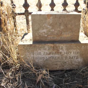 Q - Surnames :: Vanne - Q