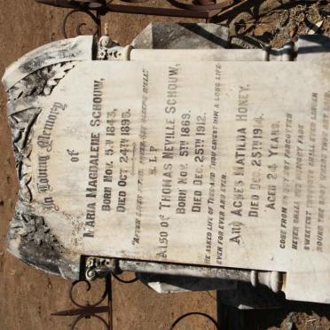 SCHOUW Maria Magdalene 1843-1895 :: SCHOUW Thomas Neville 1869-1912 :: HONEY Agnes Matilda 1890-1914