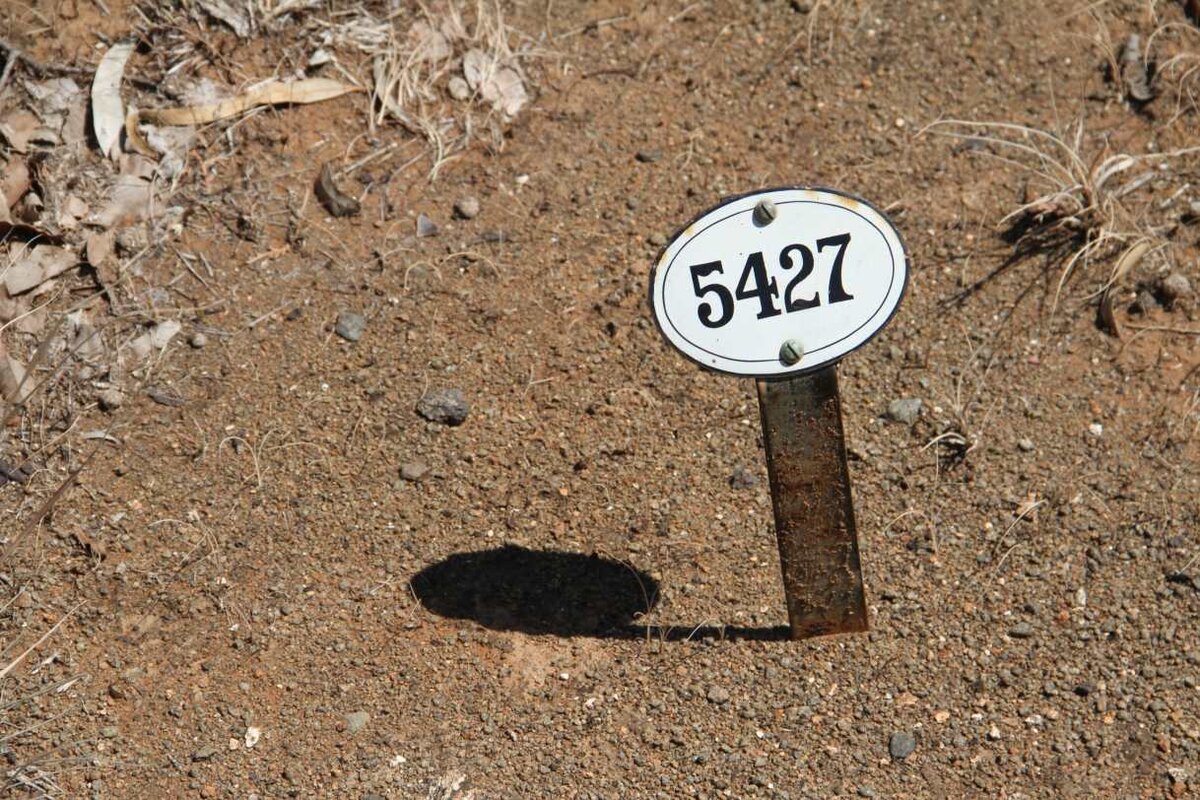 SAMPSON Minnie -1909