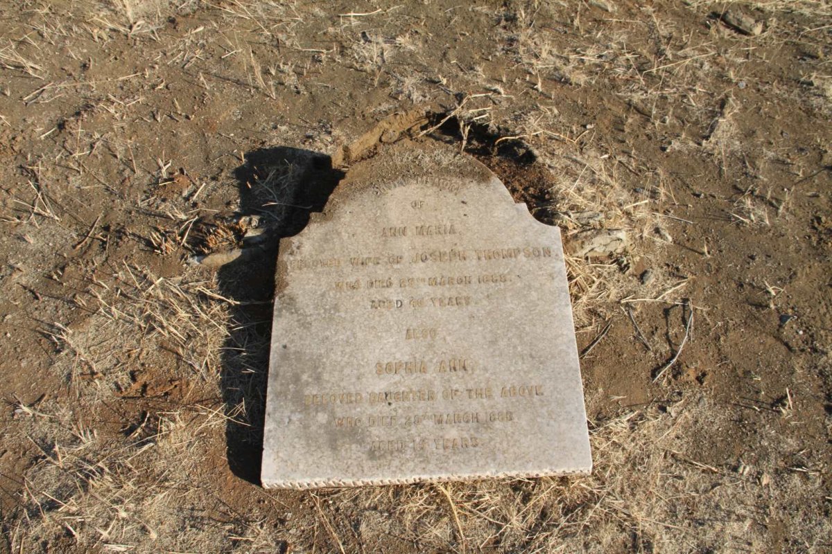 THOMPSON Ann Maria  -1888 :: THOMPSON Sophia Ann -1883